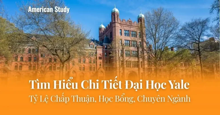 Tìm Hiểu Chi Tiết Đại Học Yale: Tỷ Lệ Chấp Thuận, Học Bổng, Chuyên Ngành