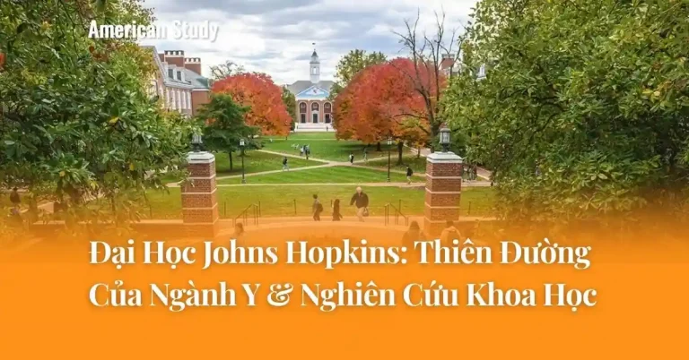 Đại Học Johns Hopkins: Thiên Đường Của Ngành Y & Nghiên Cứu Khoa Học