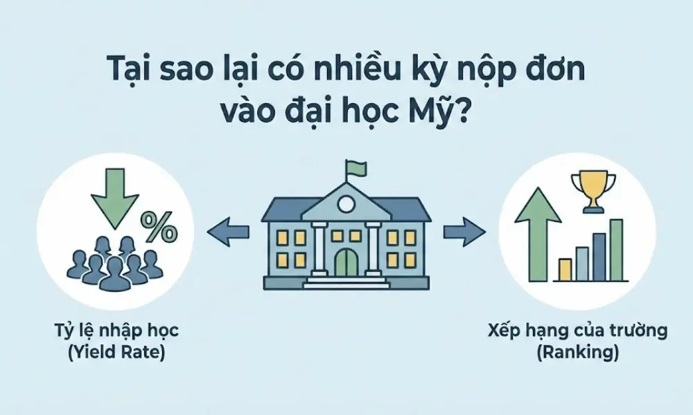 Tại sao có nhiều kỳ nộp đơn vào đại học Mỹ