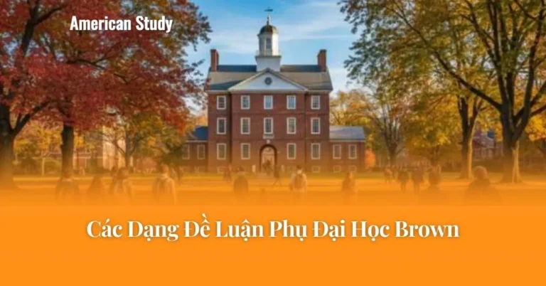 Các Dạng Đề Luận Phụ Đại Học Brown