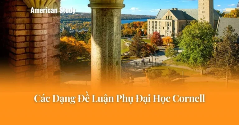Các Dạng Đề Luận Phụ Đại Học Cornell