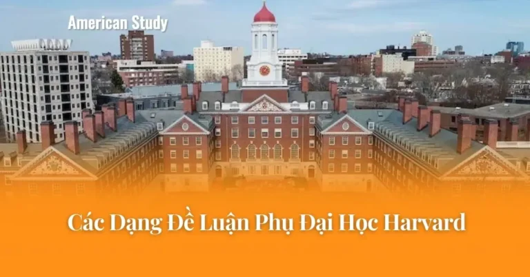 Các Dạng Đề Luận Phụ Đại Học Harvard