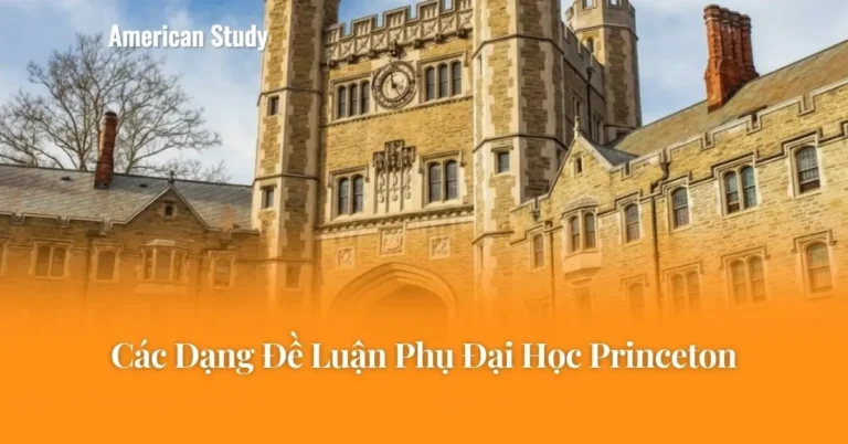 Các Dạng Đề Luận Phụ Đại Học Princeton