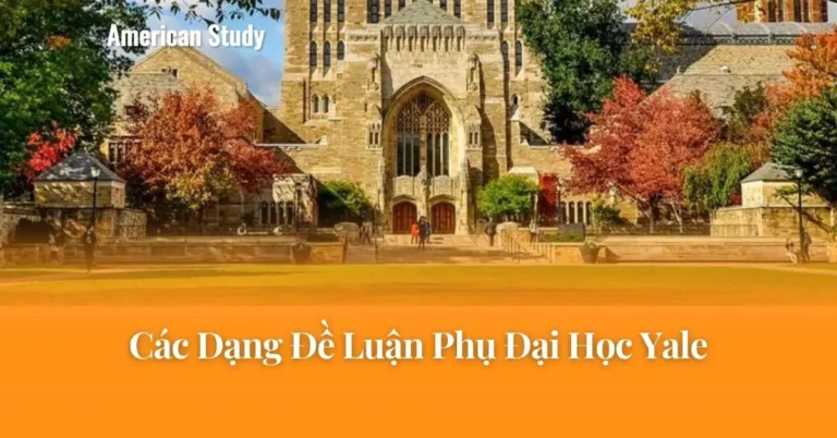 Các Dạng Đề Luận Phụ Đại Học Yale