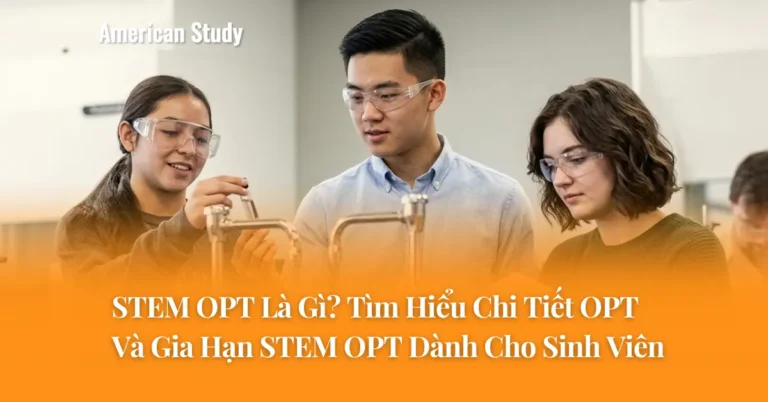STEM OPT Là Gì? Tìm Hiểu Chi Tiết OPT Và Gia Hạn STEM OPT Dành Cho Sinh Viên