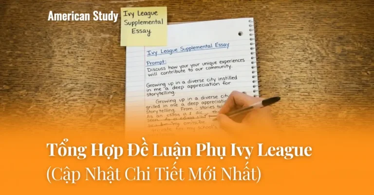 Tổng Hợp Các Đề Bài Luận Phụ Phổ Biến Ivy League & Hướng Dẫn Cách Triển Khai