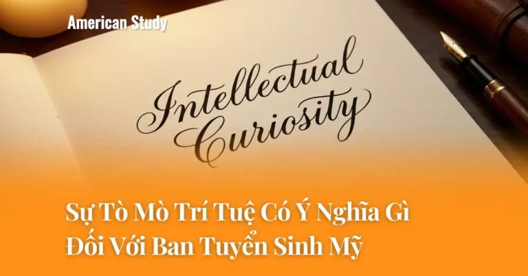 Sự Tò Mò Trí Tuệ Có Ý Nghĩa Gì Đối Với Ban Tuyển Sinh Mỹ