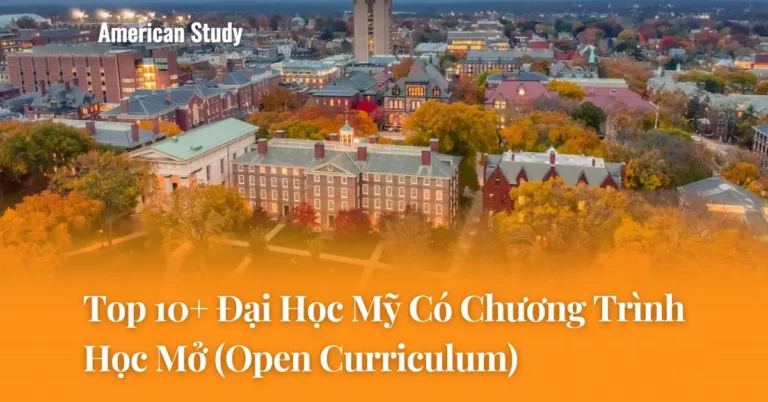 Top 10+ Đại Học Mỹ Có Chương Trình Học Mở (Open Curriculum)