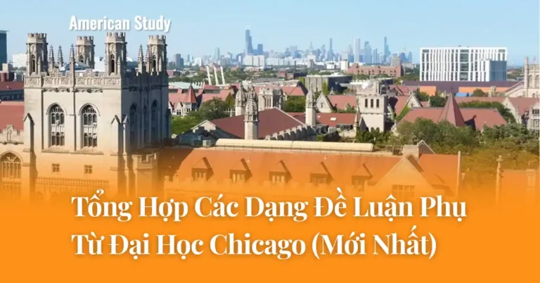 Các Dạng Đề Luận Phụ Đại Học Chicago