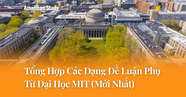 Các Dạng Đề Luận Phụ Đại Học MIT
