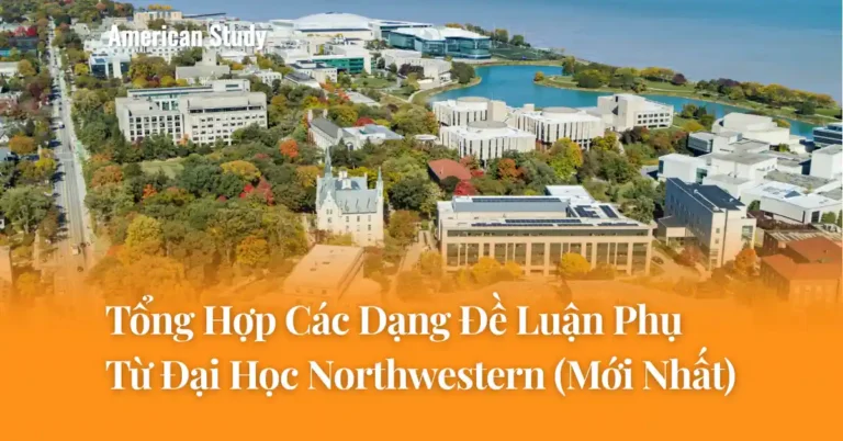 Các Dạng Đề Luận Phụ Đại Học Northwestern