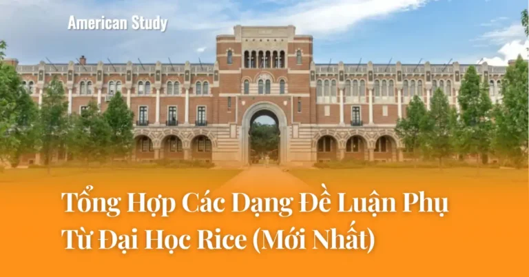 Các Dạng Đề Luận Phụ Đại Học Rice