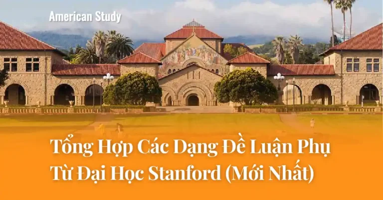 Các Dạng Đề Luận Phụ Đại Học Stanford