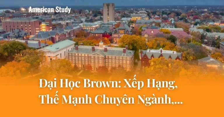 Đại Học Brown: Xếp Hạng, Thế Mạnh Chuyên Ngành & Chương Trình Open Curriculum Độc Đáo