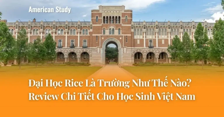 Đại Học Rice Là Trường Như Thế Nào? Review Chi Tiết Cho Học Sinh Việt Nam
