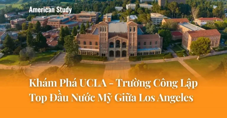 Khám Phá UCLA - Trường Công Lập Top Đầu Nước Mỹ Giữa Lòng Los Angeles