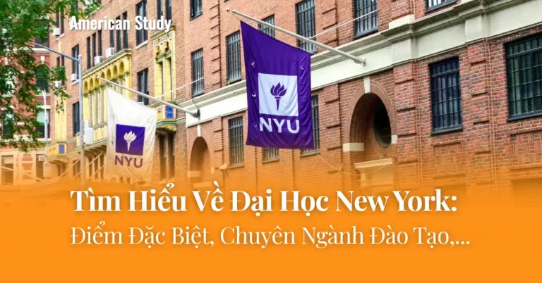 Đại Học New York Có Gì Đặc Biệt? Ngành Nào Thực Sự Nổi Bật Nhất