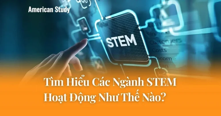 Tìm Hiểu Các Ngành STEM Hoạt Động Như Thế Nào Và Nhà Tuyển Dụng Đánh Giá Bạn Ra Sao