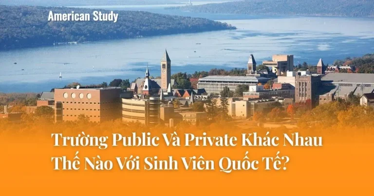 Trường Public Và Private Khác Nhau Thế Nào Với Sinh Viên Quốc Tế?